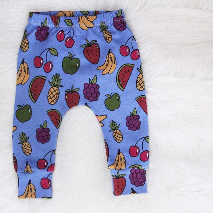 Blueberry Fruits Harems 9-12 Months