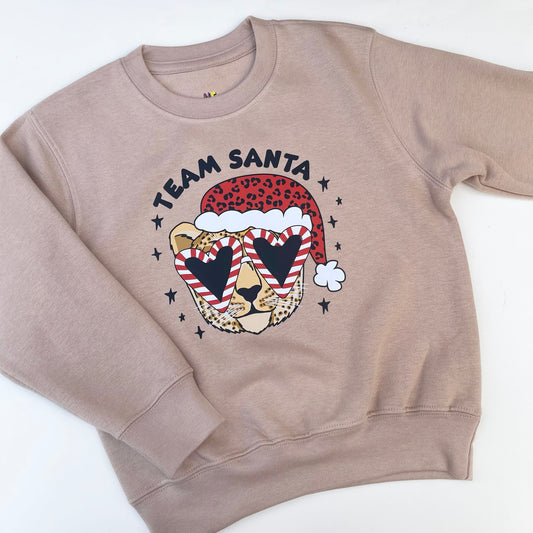 Team Santa Printed Sweatshirt