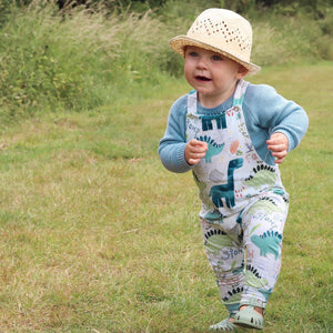 Dino Stomp Romper